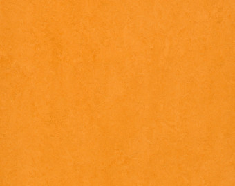 [100111112_25] Marmoleum Fresco - 3262 marigold
